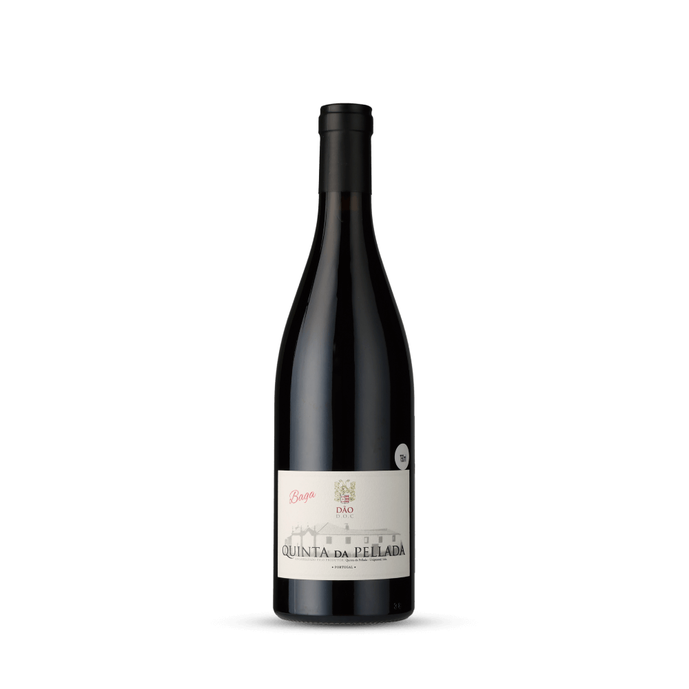 Vinho Tinto Quinta da Pellada Baga 2020 750ml
