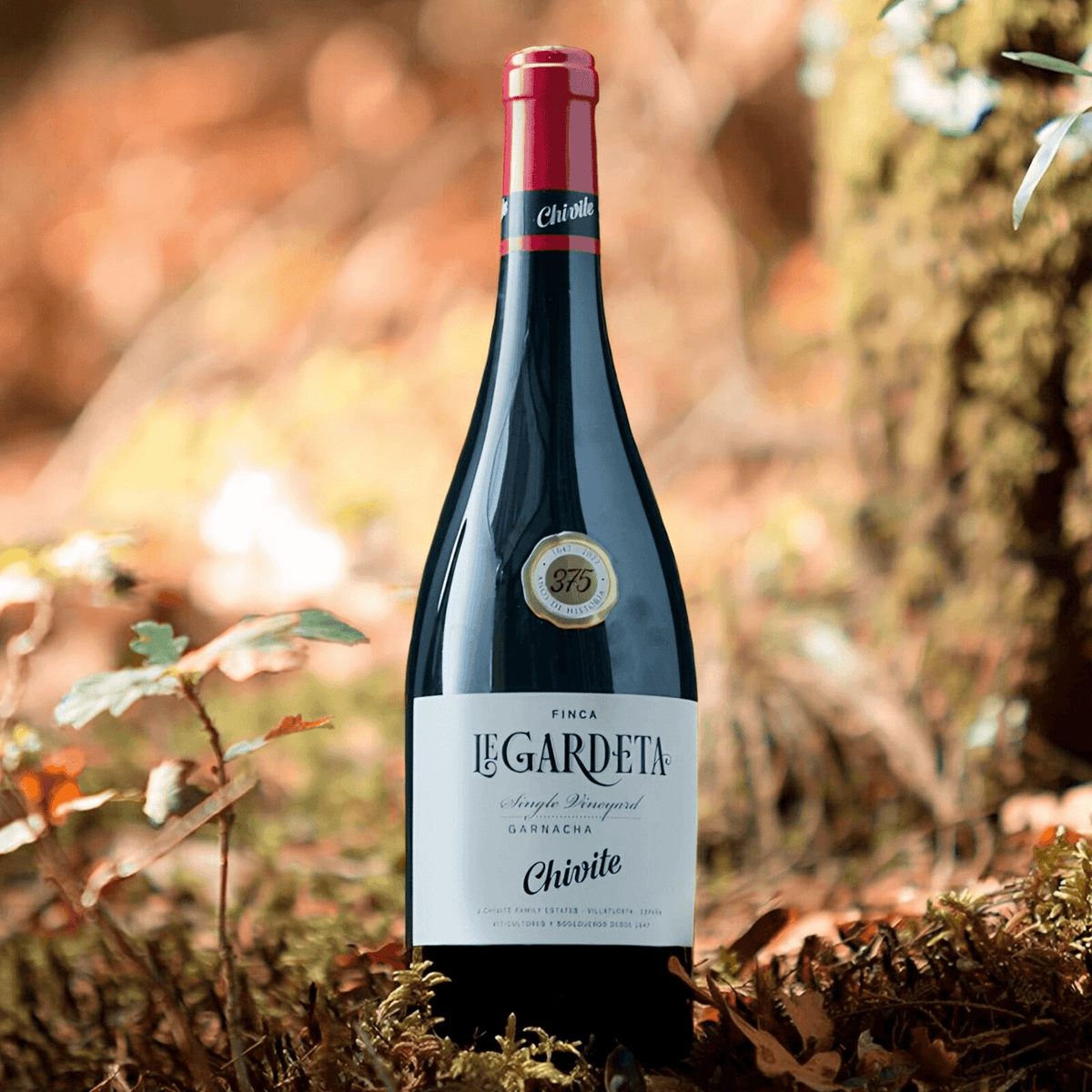 Vinho Tinto Legardeta Garnacha 2017 Julian Chivite 750ml