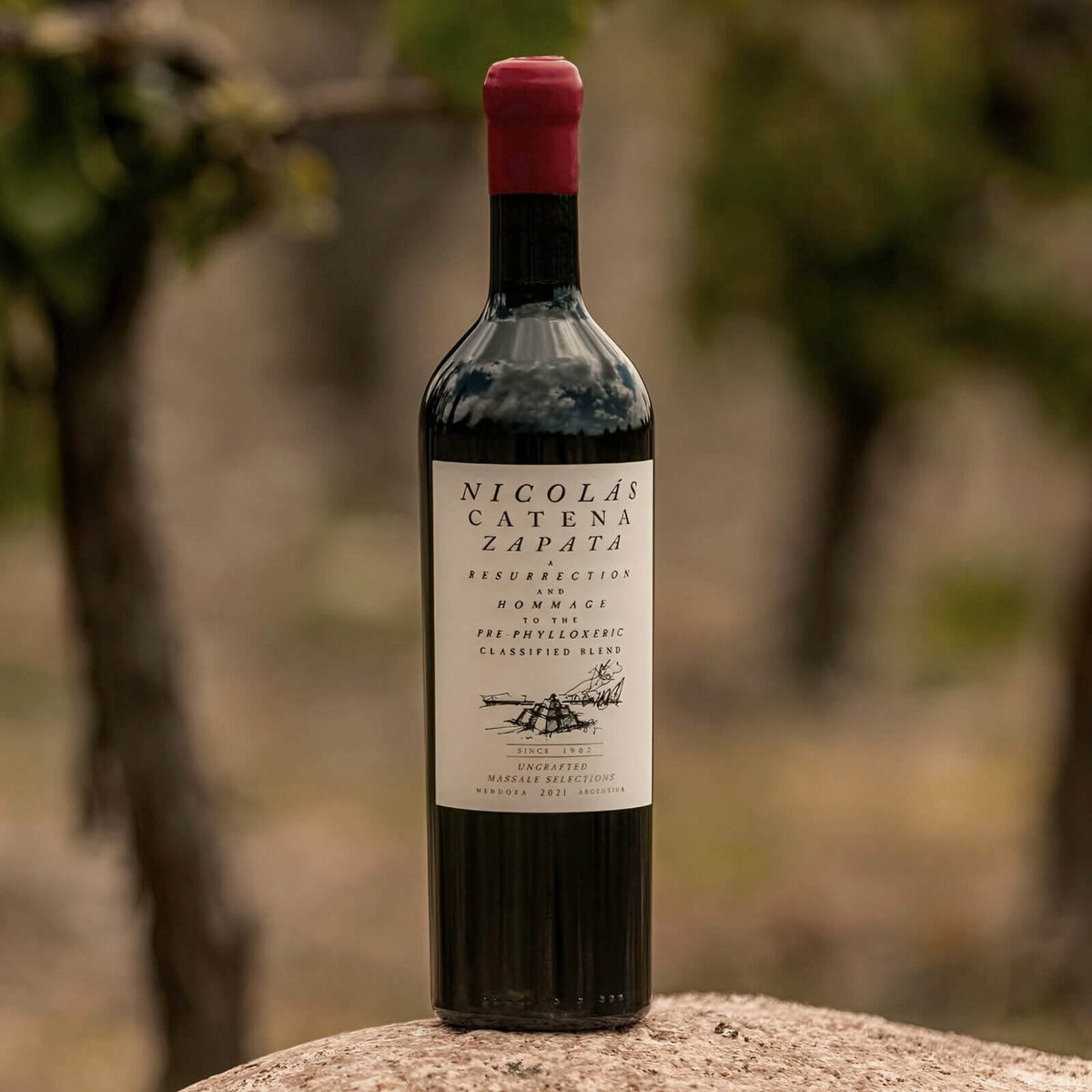 Vinho Tinto Nicolás Catena Zapata 2021 750ml