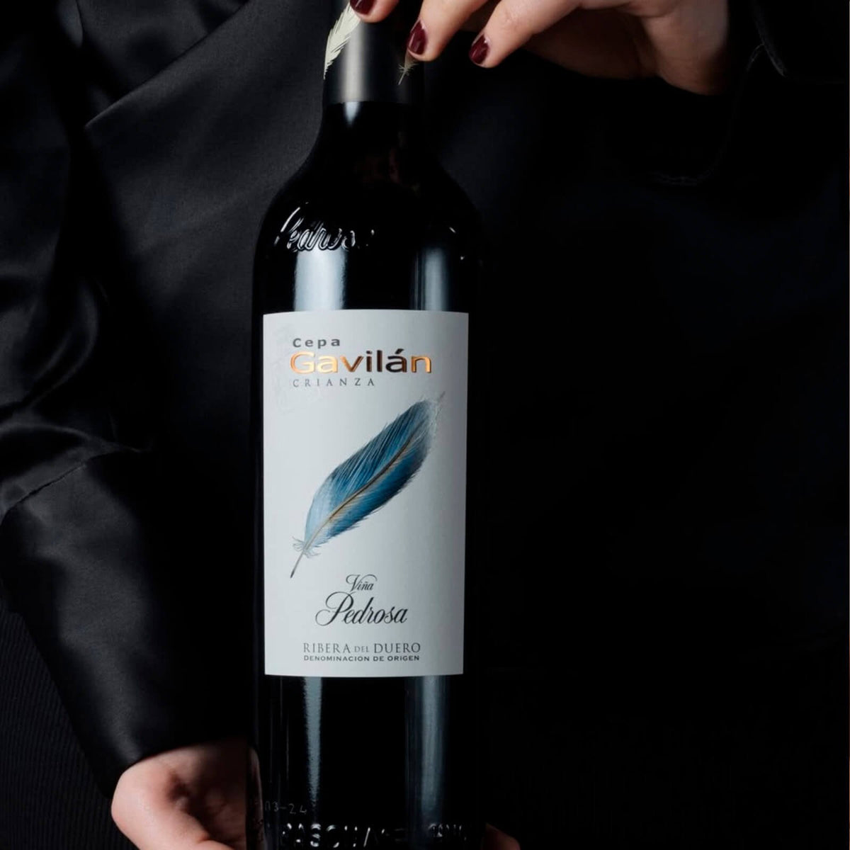 Vinho Tinto Cepa Gavilán Crianza 2022 Pérez Pascuas 750ml