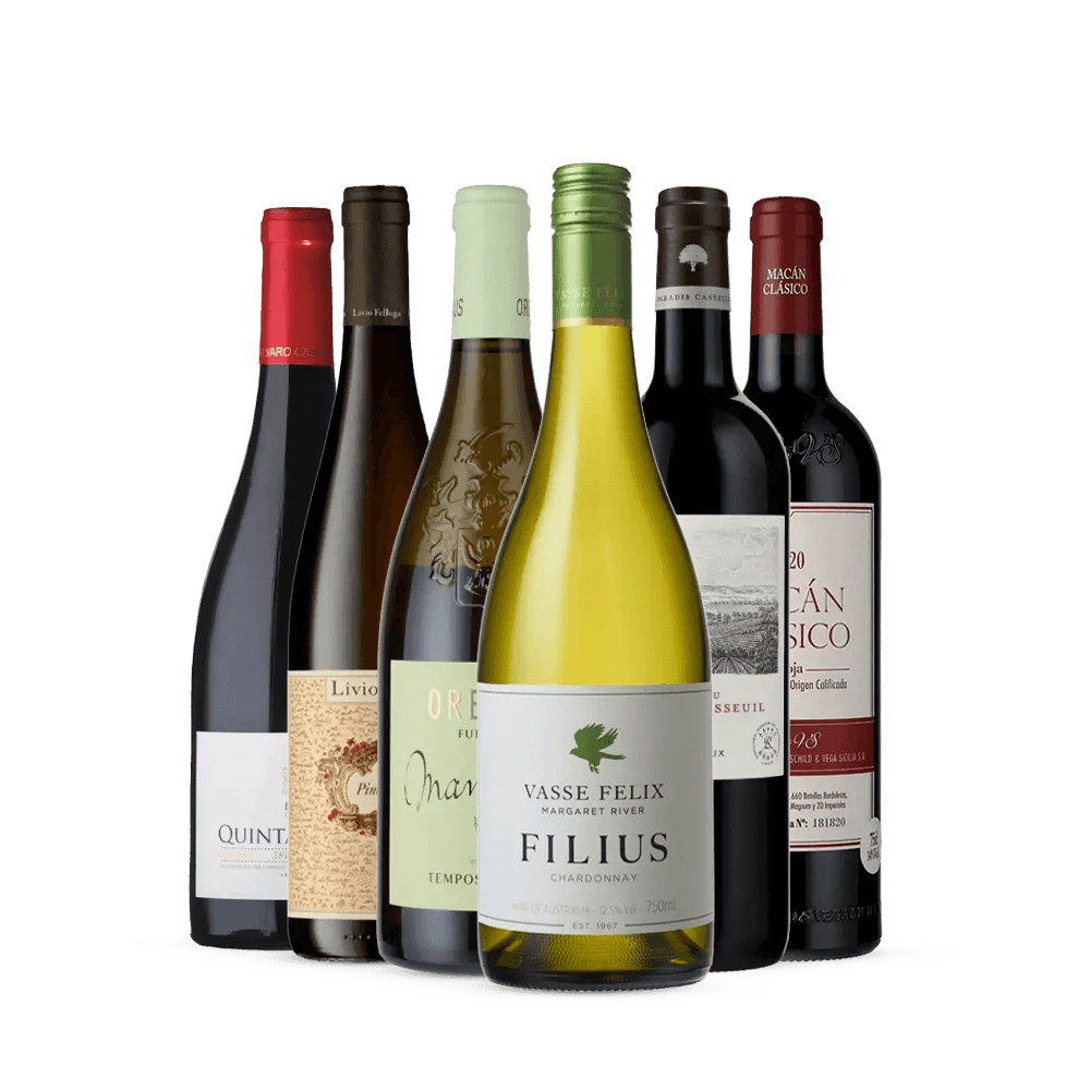 Kit 6 Garrafas - Vinhos para o Final de Semana II