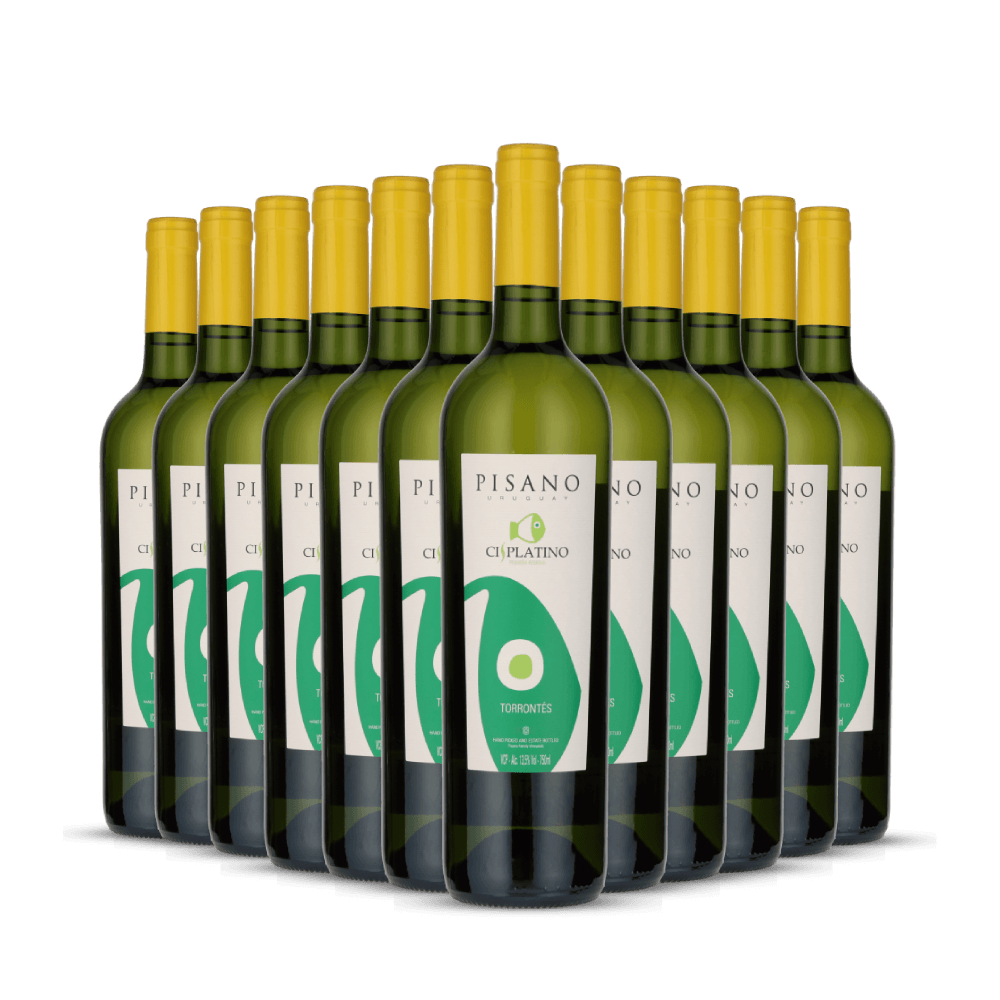 Kit 12 garrafas Cisplatino Torrontés 2024
