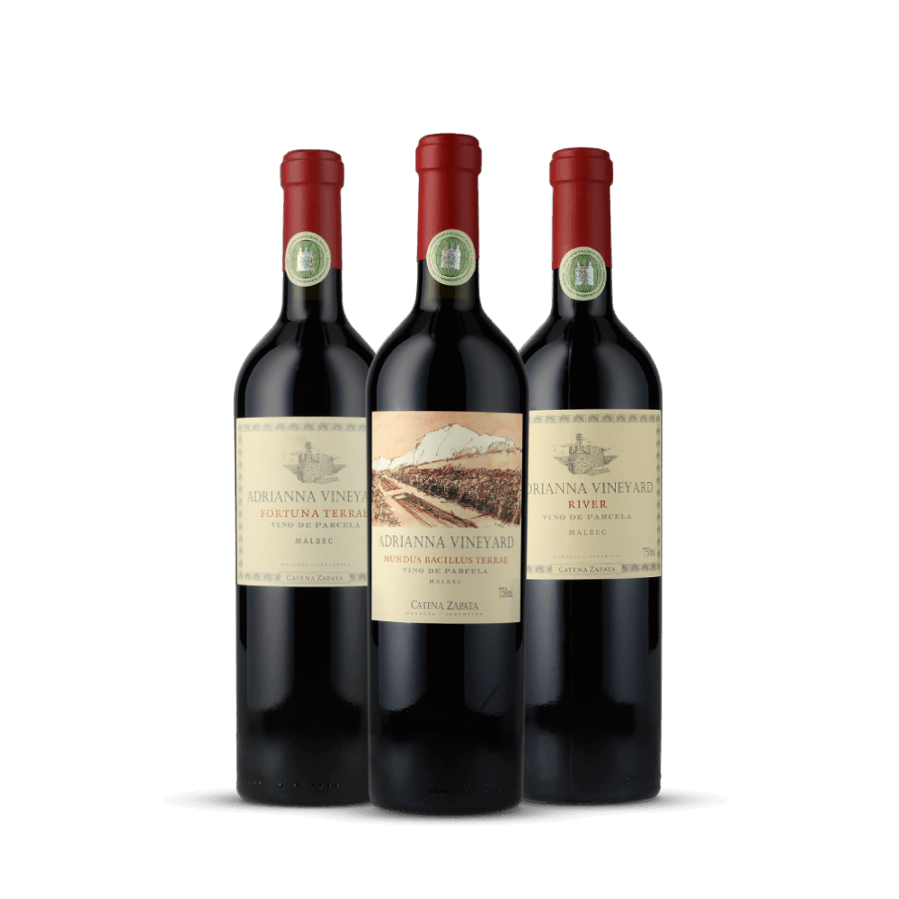 Kit Adrianna Vineyard l