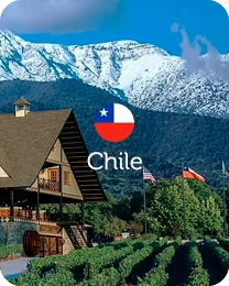 Vinhos do Chile