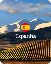 Vinhos da Espanha