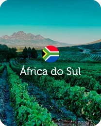Vinhos da África do Sul