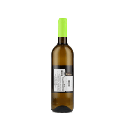 Vinho Branco Luis Pato Maria Gomes 2024 750ml