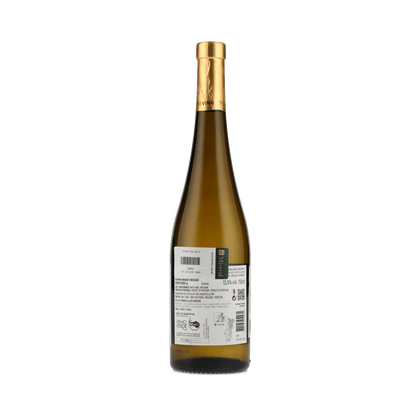 Vinho Branco Génese 2024 Vinevinu 750ml