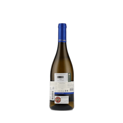 Vinho Branco Pequeno Dilema 2023 Symington Family Estates 750ml