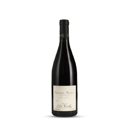 Vinho Tinto Chambolle-Musigny 1er Cru Les Feusselottes 2017 Domaine Cécile Tremblay 750ml