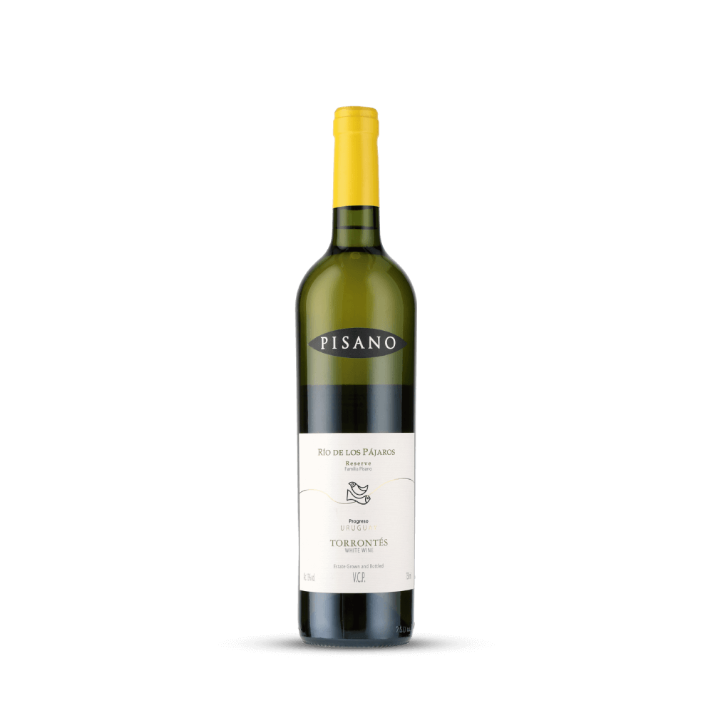 Vinho Branco Rio de los Pájaros Torrontés Reserva 2022 Pisano 750ml