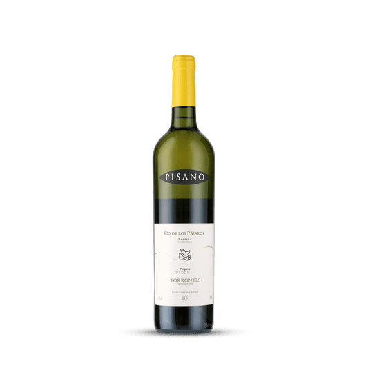 Vinho Branco Rio de los Pájaros Torrontés Reserva 2022 Pisano 750ml