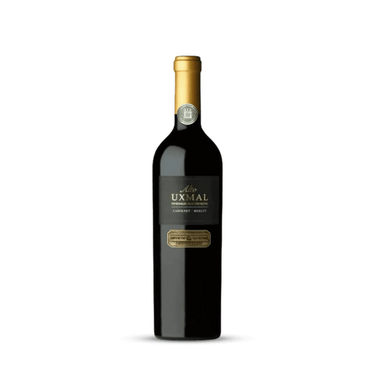 Vinho Tinto Uxmal Alto Cabernet Sauvignon / Merlot 2021 Bodegas Uxmal 750ml