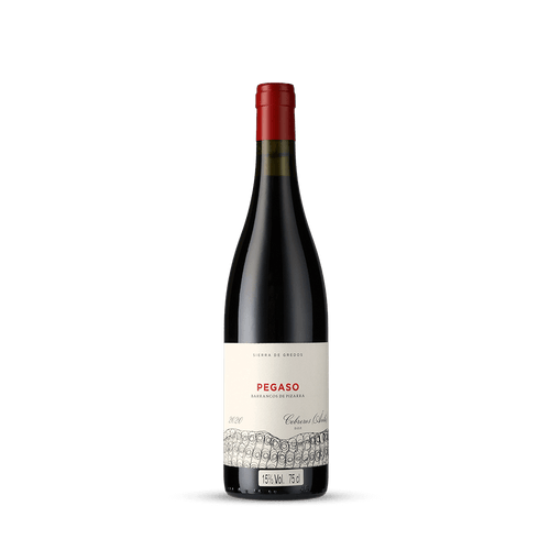 Vinho Tinto Pegaso Barrancos de Pizarra 2020 Telmo Rodríguez 750ml
