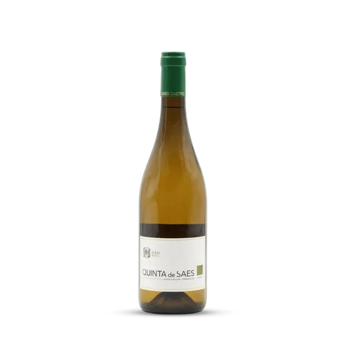 Vinho Branco Quinta de Saes Branco 2023 Quinta da Pellada 750ml