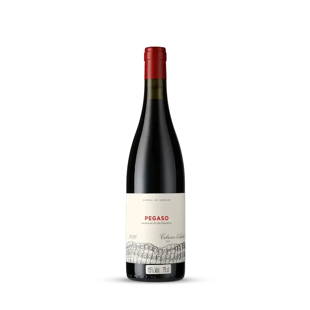 Vinho Tinto Pegaso Barrancos de Pizarra 2021 Telmo Rodríguez 750ml
