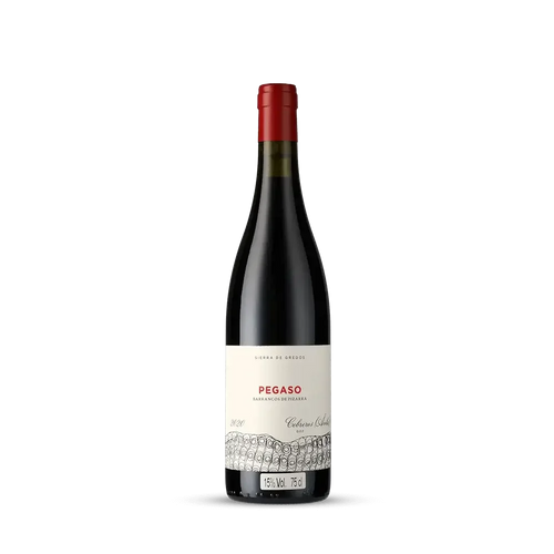 Vinho Tinto Pegaso Barrancos de Pizarra 2021 Telmo Rodríguez 750ml