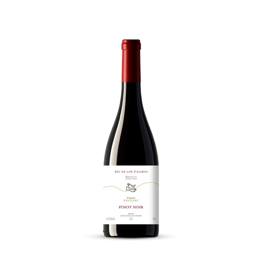 Vinho Tinto Rio de los Pájaros Reserva Pinot Noir 2023 Pisano 750ml