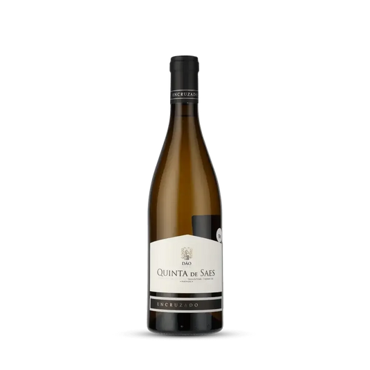 Vinho Branco Quinta de Saes Reserva Encruzado 2024 Quinta da Pellada 750ml