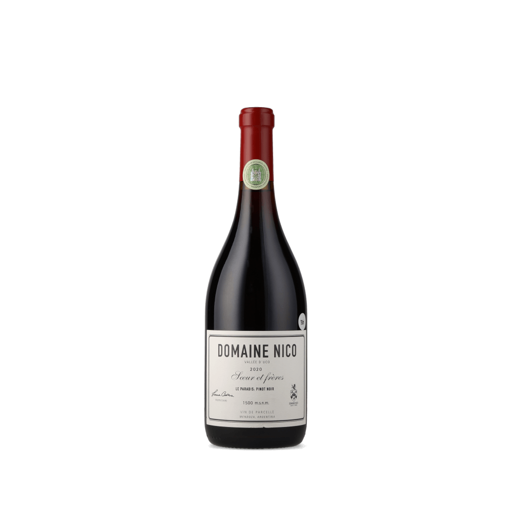 Vinho Tinto Nico Le Paradis 2020 Domaine Nico 750ml