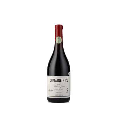 Vinho Tinto Nico Le Paradis 2020 Domaine Nico 750ml