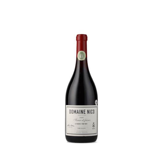 Vinho Tinto Nico Le Paradis 2020 Domaine Nico 750ml