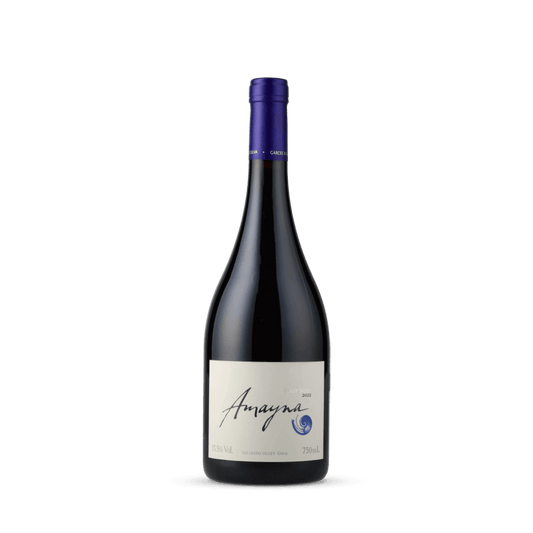 Vinho Tinto Amayna Pinot Noir 2023 Garcés Silva Family Vineyards - Amayna Boya 750ml