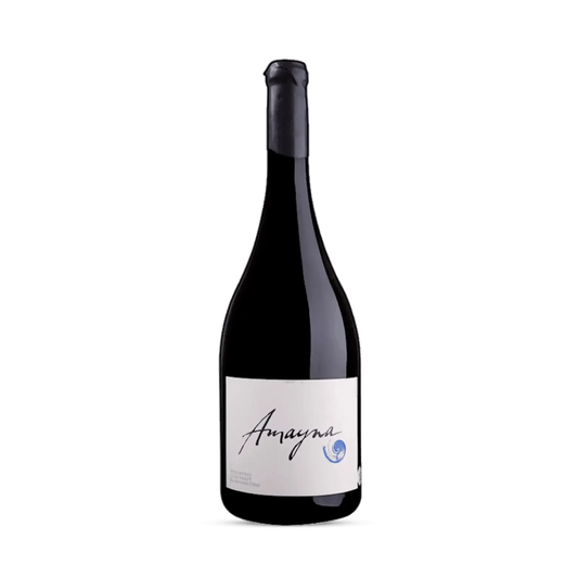 Vinho Tinto Amayna Syrah 2022 - Magnum Garcés Silva Family Vineyards - Amayna Boya 1,5L