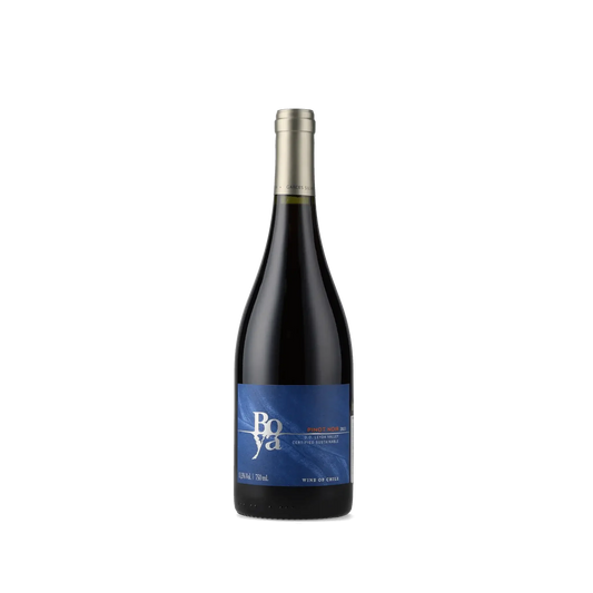 Vinho Tinto Boya Pinot Noir 2022 Garcés Silva Family Vineyards - Amayna Boya 750ml