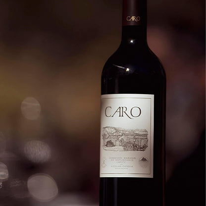 Vinho Tinto Caro 2020 Bodegas Caro (Catena & Rothschild) 750ml