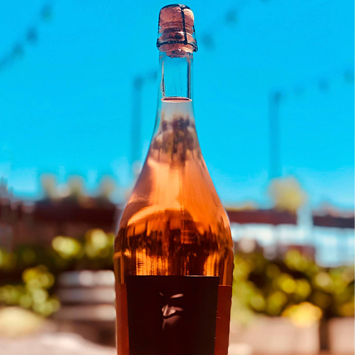 Alma Negra Espumante Brut Nature Rosé Tikal (Ernesto Catena) 750ml