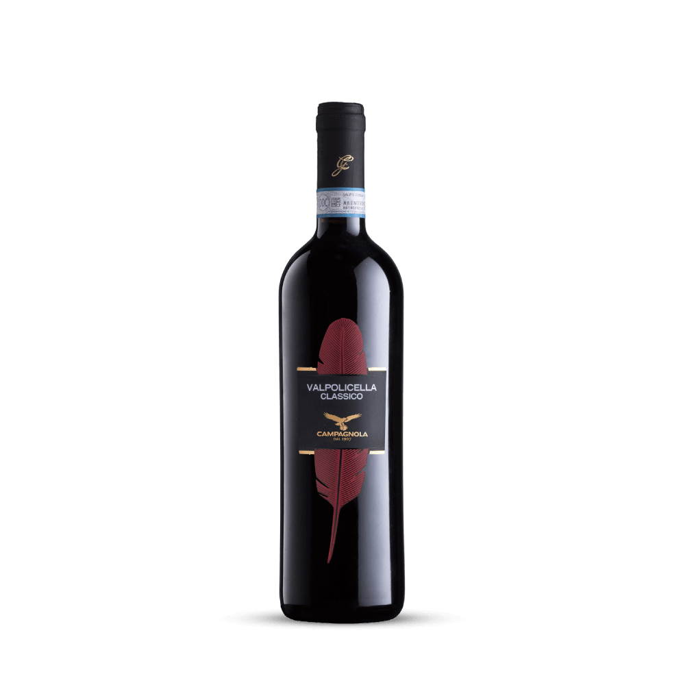 Vinho Tinto Valpolicella Classico 2024 Campagnola 750ml