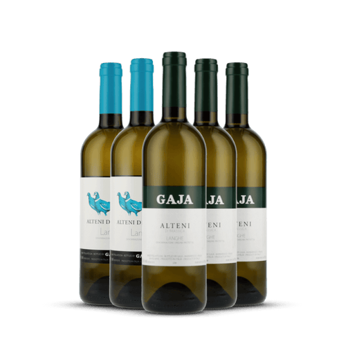 Kit Vertical Gaja Alteni di Brassica