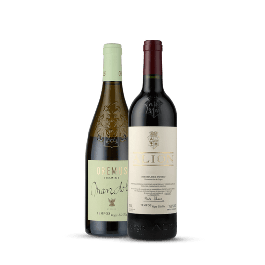 Grandes vinhos com a chancela de Vega Sicilia