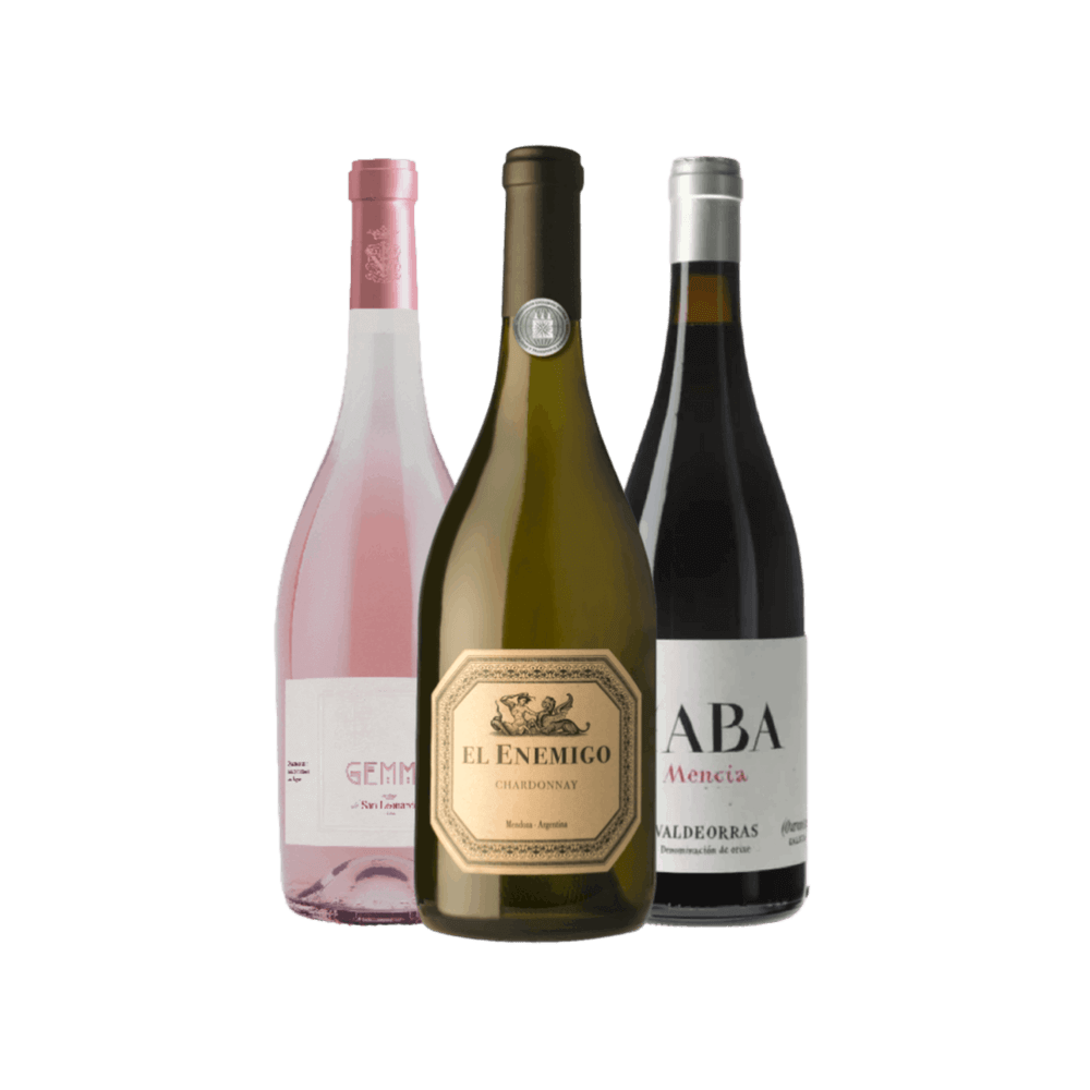 Kit Vinho e Pizza III