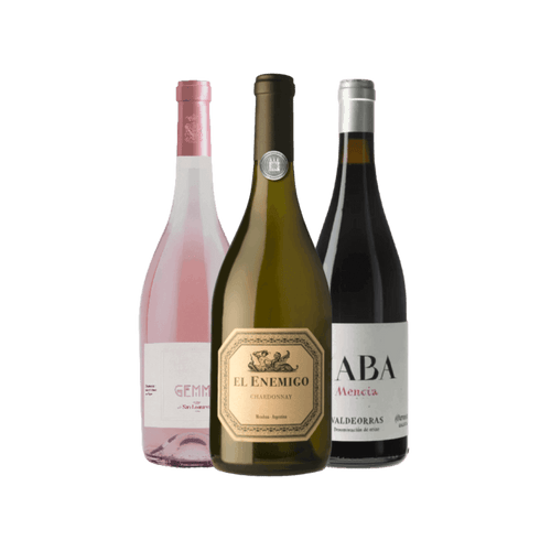 Kit Vinho e Pizza III