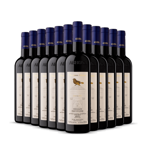 Kit 12 garrafas San Luigi Dogliani 2023