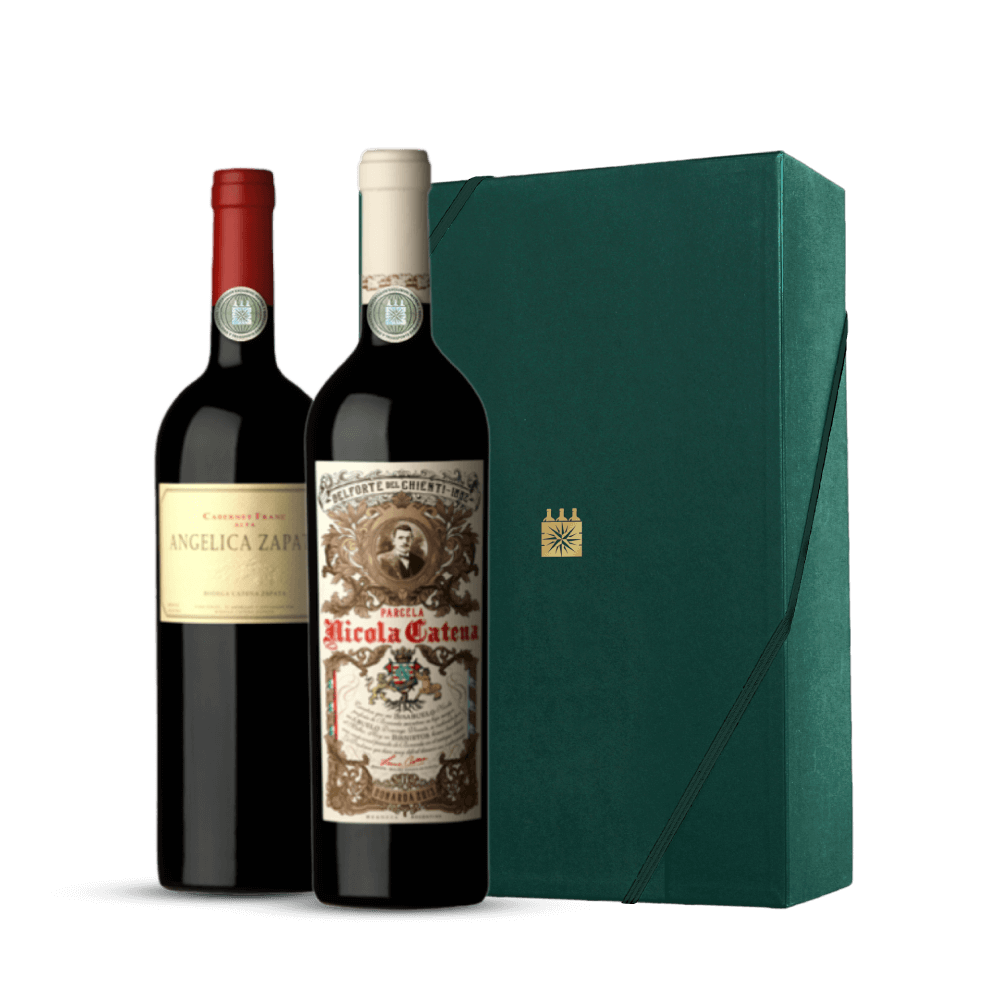 Kit Uvas diferentes que originam vinhos fantásticos na Argentina