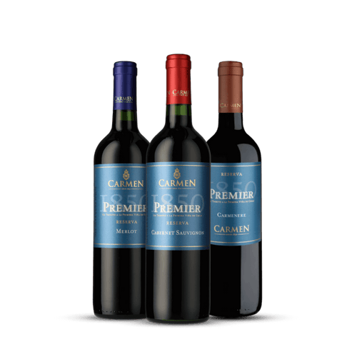 Kit Uvas de Bordeaux