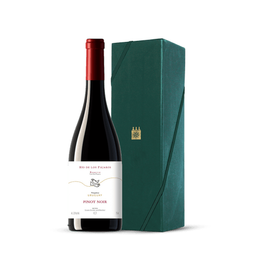 Kit Pinot Noir uruguaio